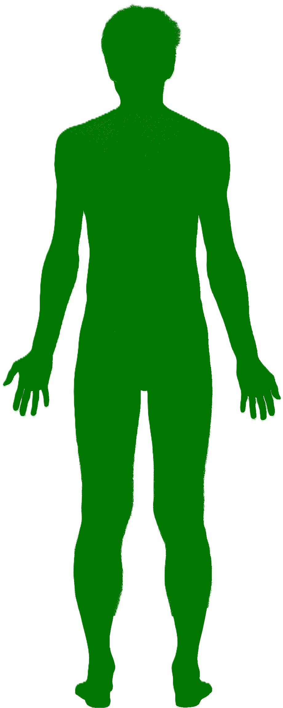 Silueta corporal